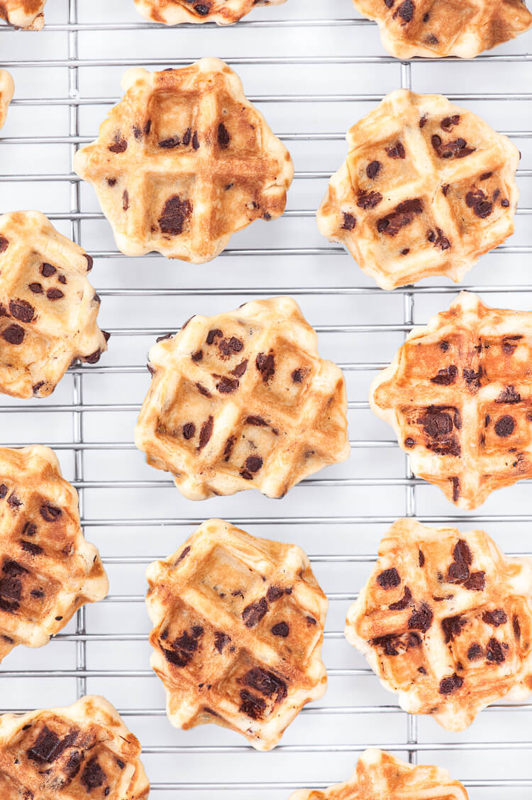 Learn To Bake Waffle Cookies with Chocolate Chips