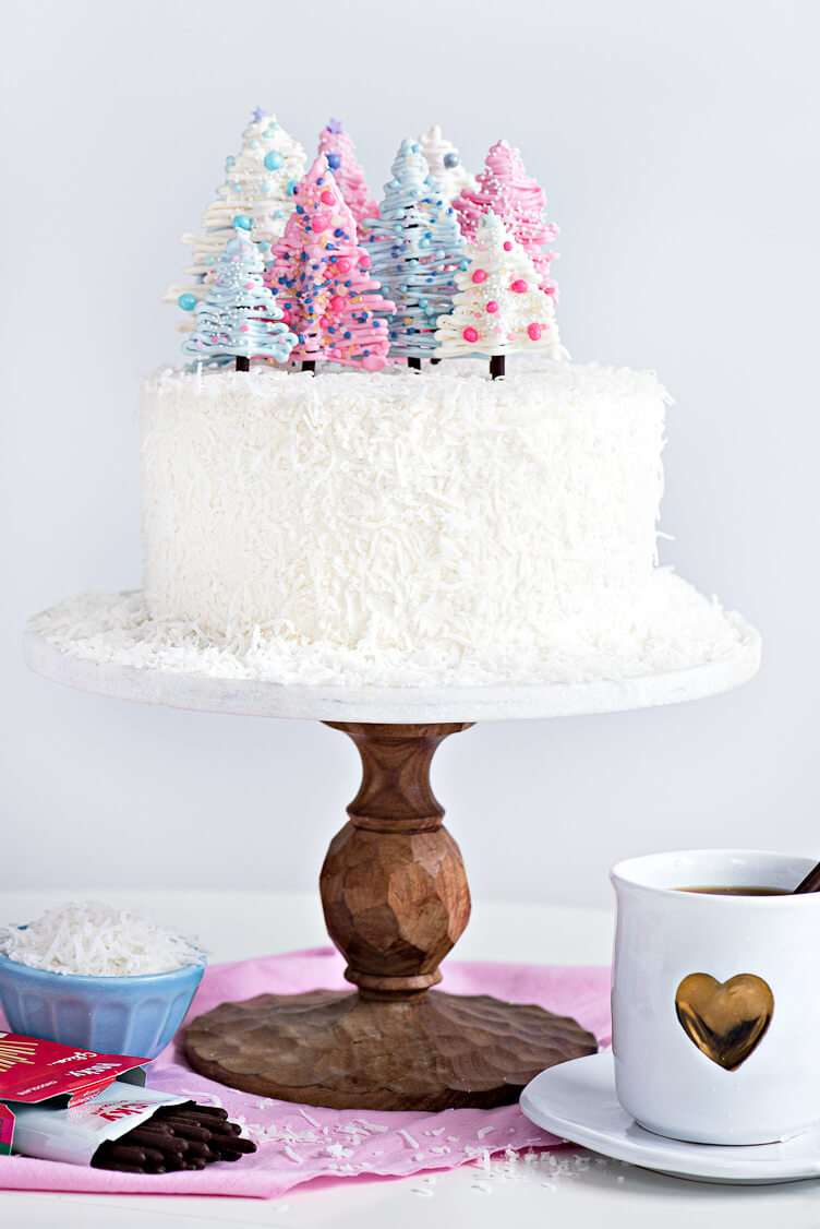 Chocolate Coconut Winter Wonderland Cake 