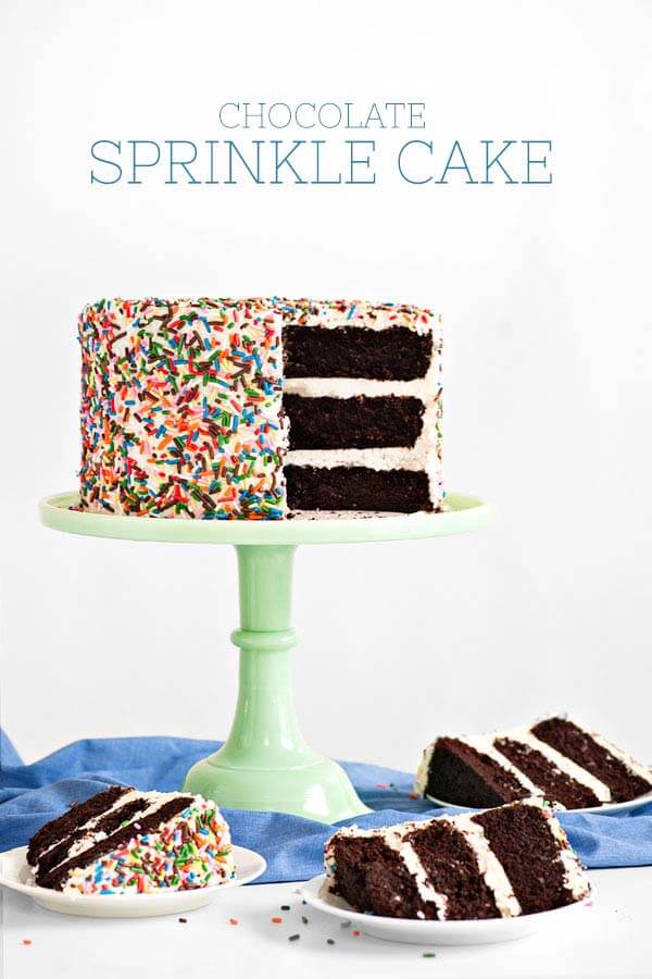 Chocolate Peanut Butter Sprinkle Cake — Molly Yeh