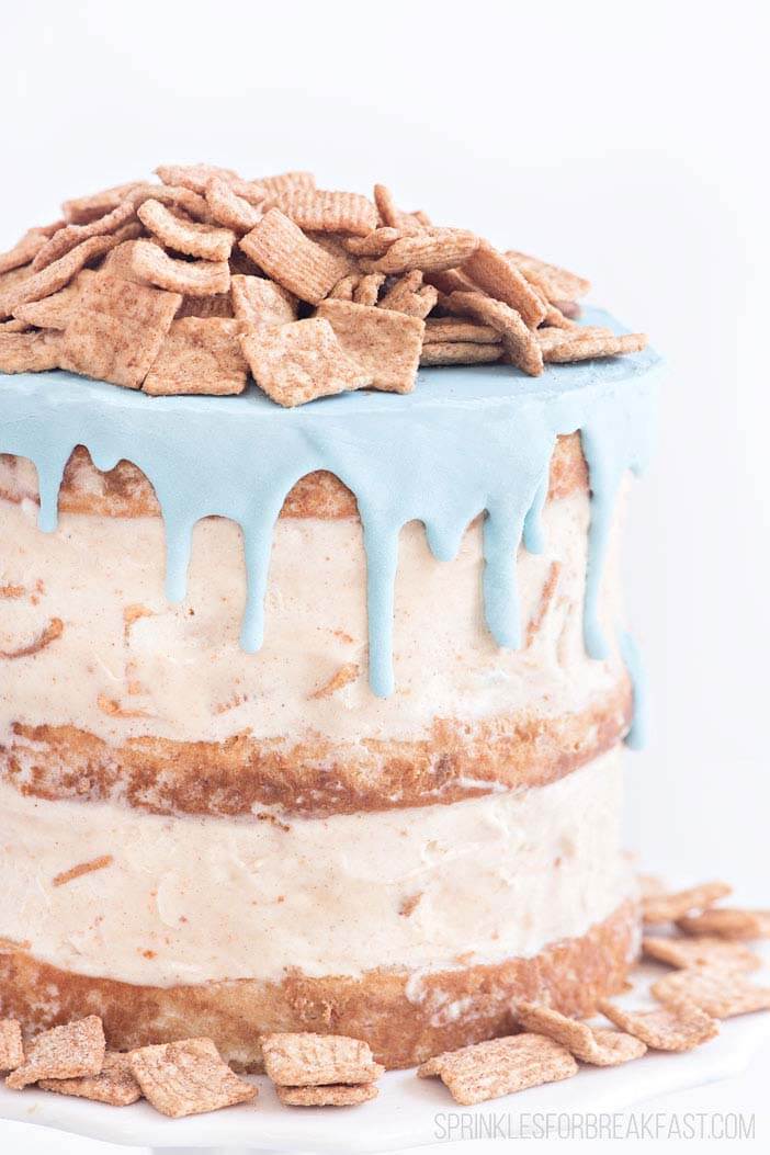 DIY Cinnamon Ice Cream Cake