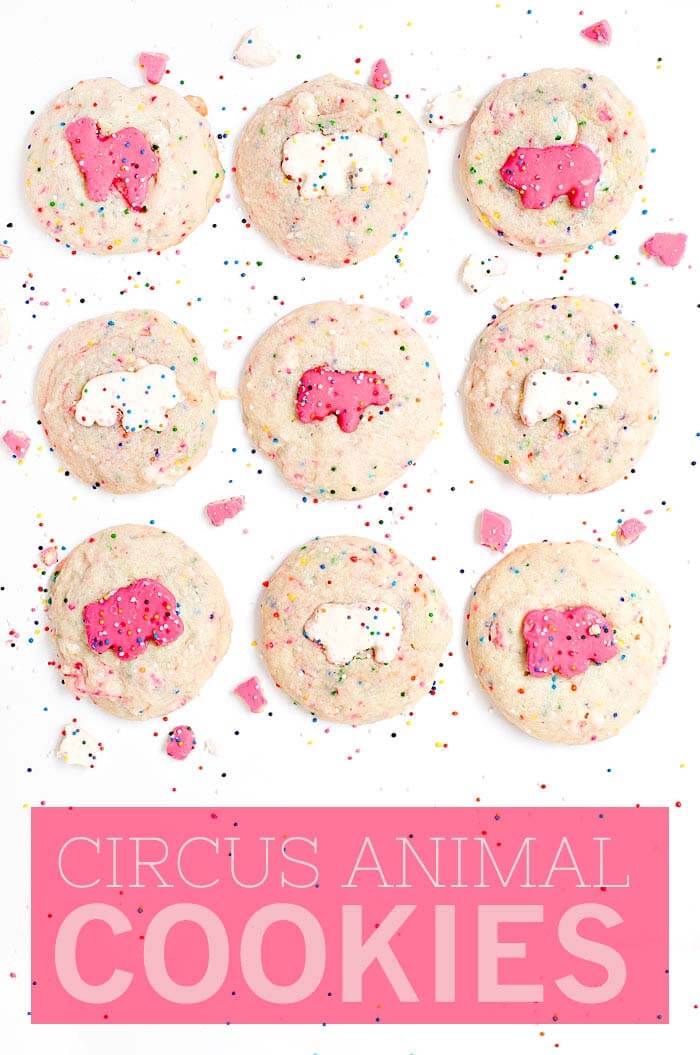 Circus Animal Cookies - Sprinkles For Breakfast