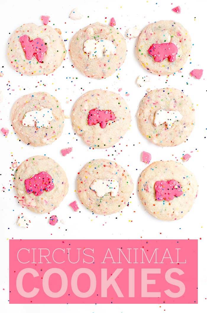 Circus Animal Cookies - Sprinkles For Breakfast Circus Animal Cookies - Sprinkles For Breakfast