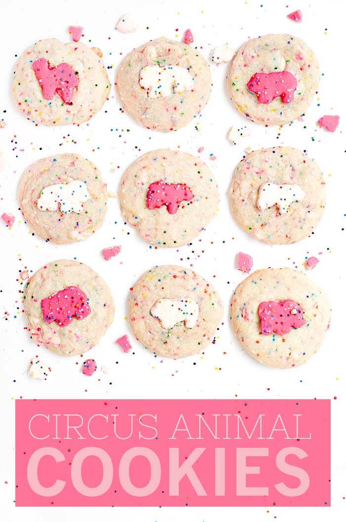 Homemade Animal Crackers