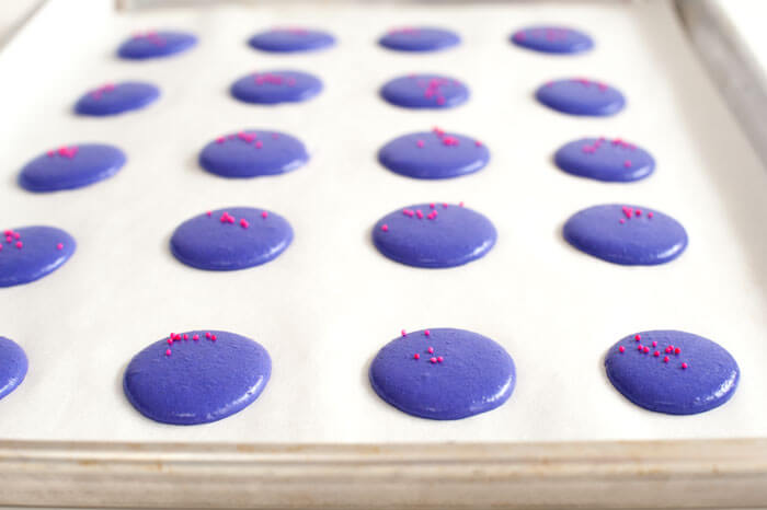 Homemade French Vanilla Macarons